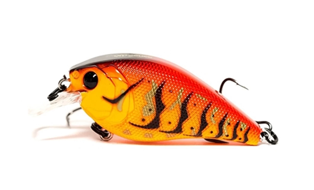 6th Sense Crush 50X 1 6th Sense Crush 50X