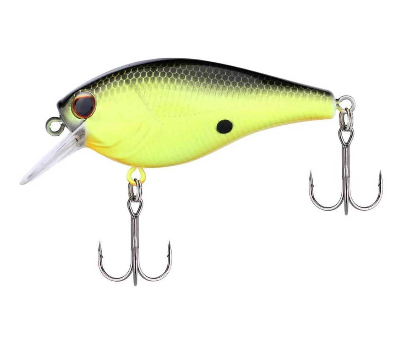 Berkley Squarebull 1 Berkley Squarebull