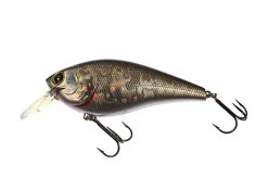 Lucky Craft FAT BDS 6 Crankbait