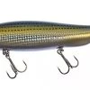 Megabass Megadog