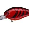 Strike King KVD 1.5 Deep Squarebill Crankbait